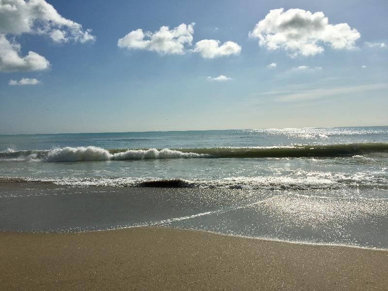 Hollywood Beach Marriott Hotel Buitenkant foto